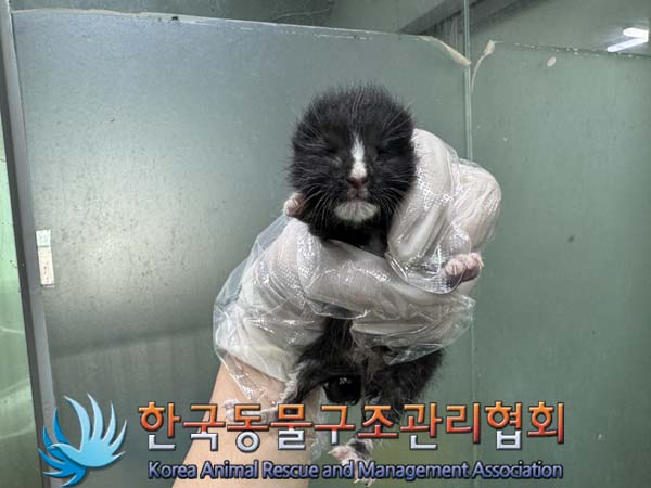 한국동물구조관리협회_411307202400421